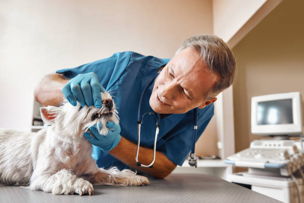 Best Weekend Emergency Dental Services in Leesburg, GA