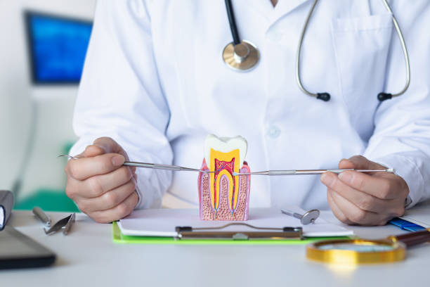 Best Urgent Dental Care for Toothaches in Leesburg, GA